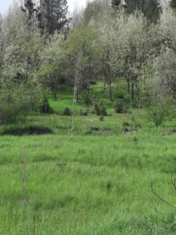 Prodaja, plac, 1416m², Kolašin, Crna Gora