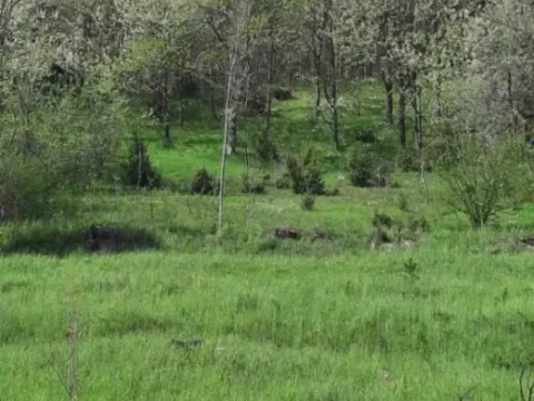 Prodaja, plac, 1416m², Kolašin, Crna Gora - image 3