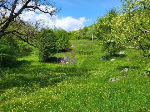 Prodaja, plac, 160000m², Nikšić, Crna Gora - image 3