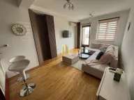 Izdavanje, jednosoban stan, 45m², Bulevar patrijarha Pavla, Novi Sad Sve Podlokacije - image 1