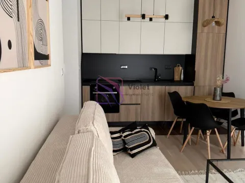 Izdavanje, jednosoban stan, 37m², Tološi, Podgorica - image 9