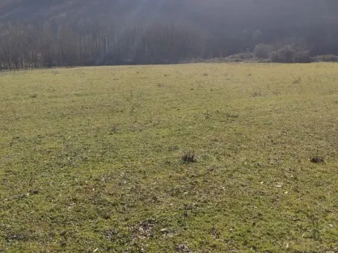 Prodaja, plac, 11000m², Donji Zagarač, Danilovgrad - image 5