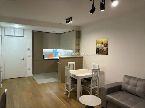 Izdavanje, dvosoban stan, 48m², Novi Beograd Sve Podlokacije, Beograd - image 11