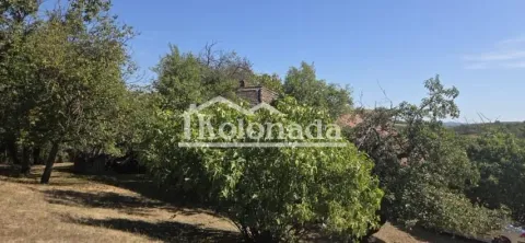 Pogled na dvorište sa voćnjakom i rastinjem. - image 5