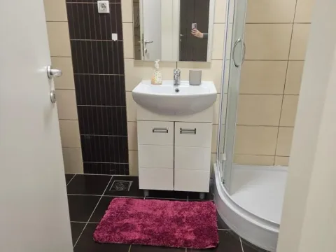 Izdavanje, dvosoban stan, 55m², Đeram Pijaca, Beograd - image 12