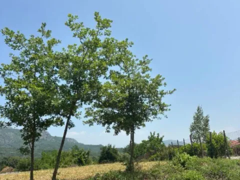 Prodaja, plac, 2400m², Pričelje, Podgorica - image 5