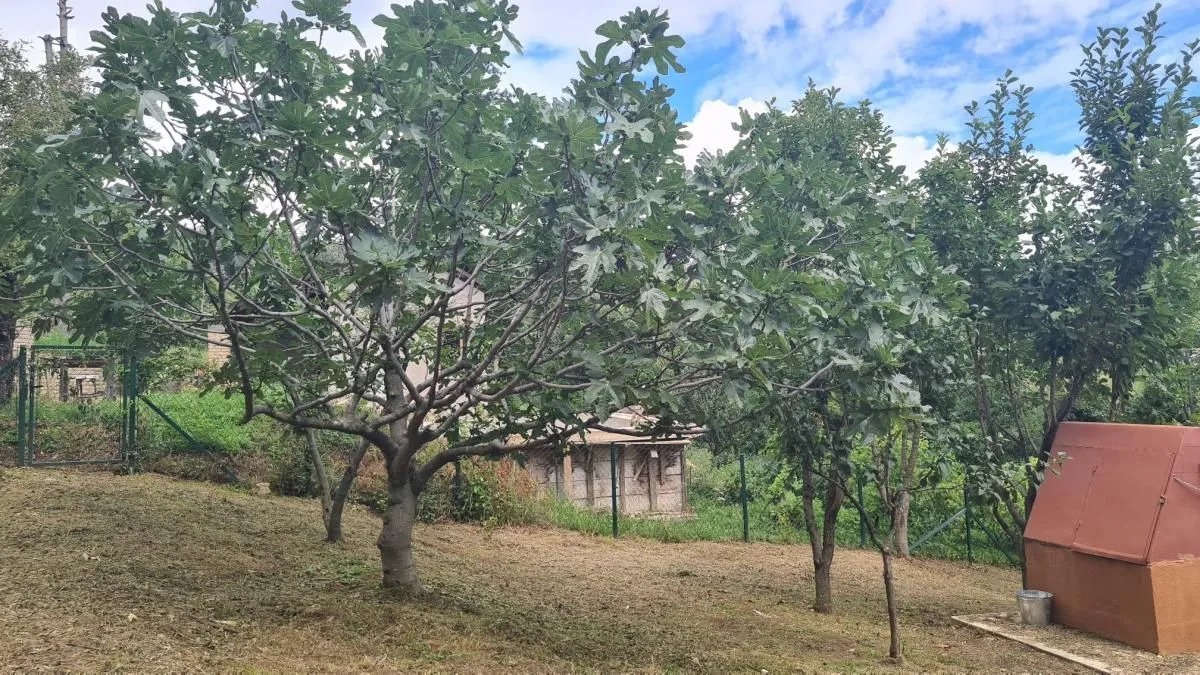 Prodaja, kuća, 86m², Banja Vrdnik, Irig