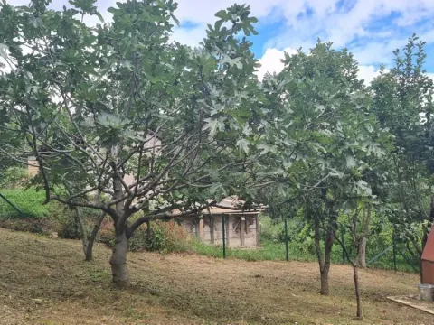 Sale, house, 86m², Banja Vrdnik, Irig - image 4