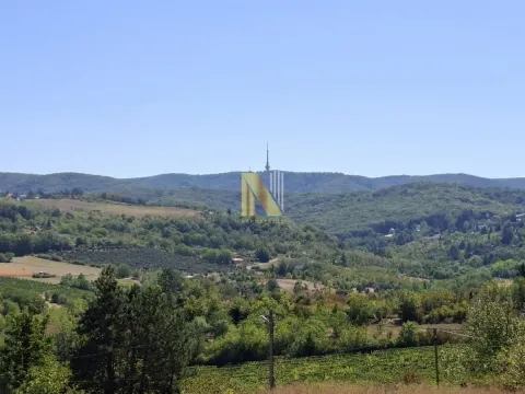 Pogled na šumoviti pejzaž i brda u daljini. - image 9