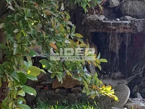 Izdavanje, kuća, 200m², Zemun Gornji Grad, Zemun Sve Podlokacije - image 13