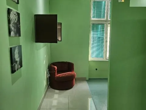 Izdavanje, poslovni prostor, 82m², Stari Grad, Beograd - image 7