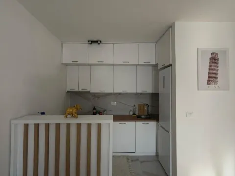 Izdavanje, jednosoban stan, 45m², Zabjelo, Podgorica - image 6