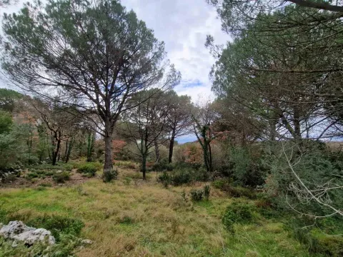 Prodaja, plac, 1150m², Zagora, Kotor - image 3