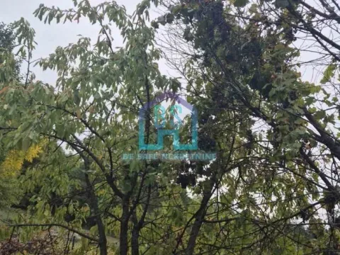 Prodaja, plac, 1200m², Alibegovac, Petrovaradin - image 4