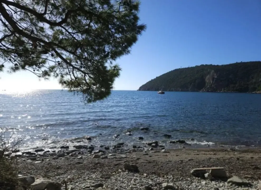 Rent, studio apartment, 28m², Sutomore, Bar