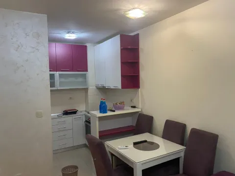 Rent, one bedroom apartment, 43m², Stari Aerodrom, Podgorica - image 6