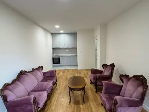 Izdavanje, jednosoban stan, 49m², Central Point, Podgorica - image 2
