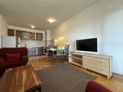 Izdavanje, jednosoban stan, 50m², Stari Aerodrom, Podgorica