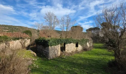 Pogled na staru kamenu ruševinu u prirodi zaraslu u rastinje. - image 5