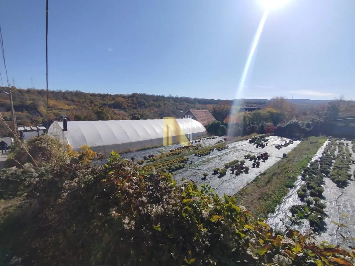 Pogled na plac sa plastenikom i zasađenim biljkama.