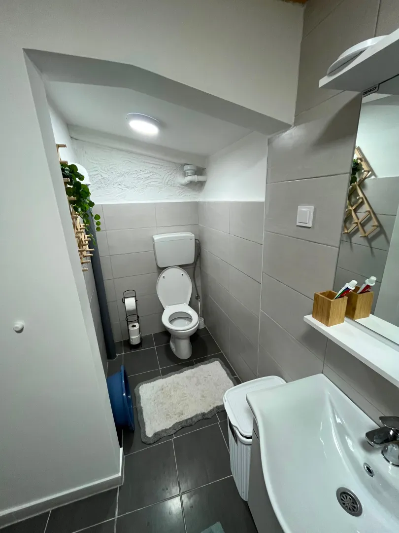 Manje kupatilo sa WC šoljom, umivaonikom i ogledalom.