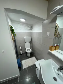 Manje kupatilo sa WC šoljom, umivaonikom i ogledalom. - image 10