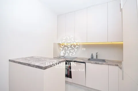 Rent, one bedroom apartment, 59m², Central Point, Podgorica - image 654