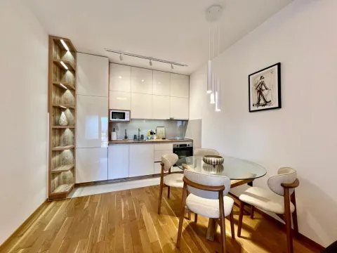 Izdavanje, jednosoban stan, 45m², Centar, Podgorica - image 1
