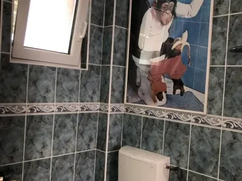 Izdavanje, jednosoban stan, 55m², Šušanj, Bar - image 10