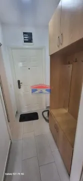 Izdavanje, garsonjera, 26m², Grbavica, Novi Sad Sve Podlokacije - image 7