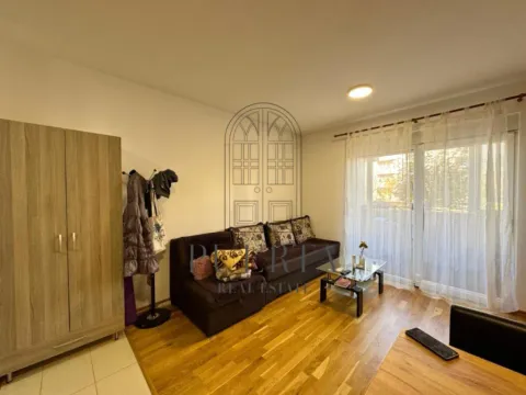 Izdavanje, garsonjera, 29m², Ljubović, Podgorica - image 5