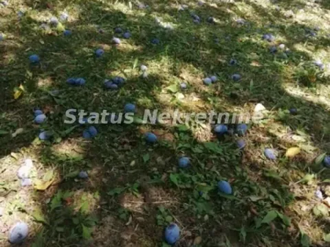 Prodaja, plac, 2100m², Inđija, Srbija - image 10