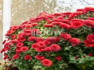 Prodaja, dvosoban stan, 49m², Cerak Vinogradi, Beograd - image 17