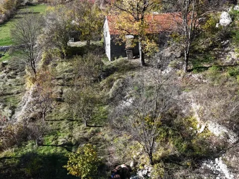 Prodaja, plac, 6000m², Njeguši, Cetinje - image 2