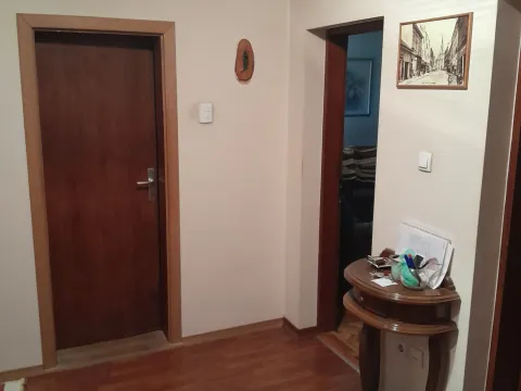 Sale, house, 214m², Veternik, Novi Sad Sve Podlokacije - image 17