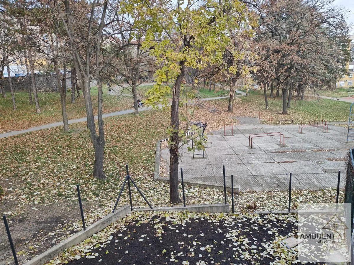 View from the terrace overlooking the courtyard and park with trees.