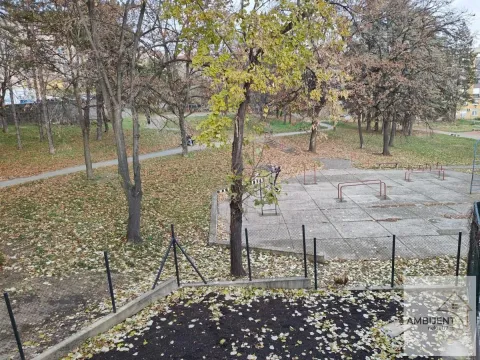 View from the terrace overlooking the courtyard and park with trees. - image 19