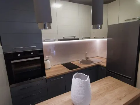 Izdavanje, jednosoban stan, 50m², Central Point, Podgorica - image 4