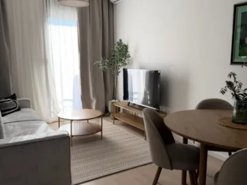 Izdavanje, jednosoban stan, 40m², Tološi, Podgorica - image 9