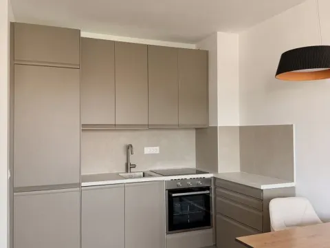 Rent, one bedroom apartment, 40m², Zemun Centar, Zemun Sve Podlokacije - image 4