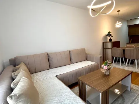 Rent, one bedroom apartment, 47m², New City, Podgorica - image 3