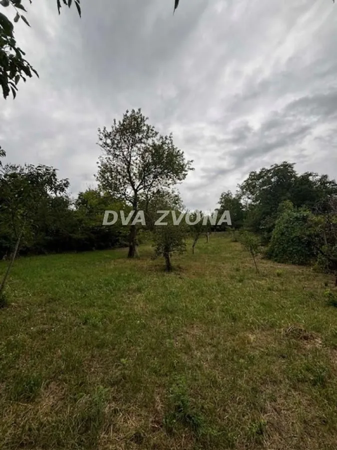 Prodaja, plac, 1100m², Čortanovci, Inđija