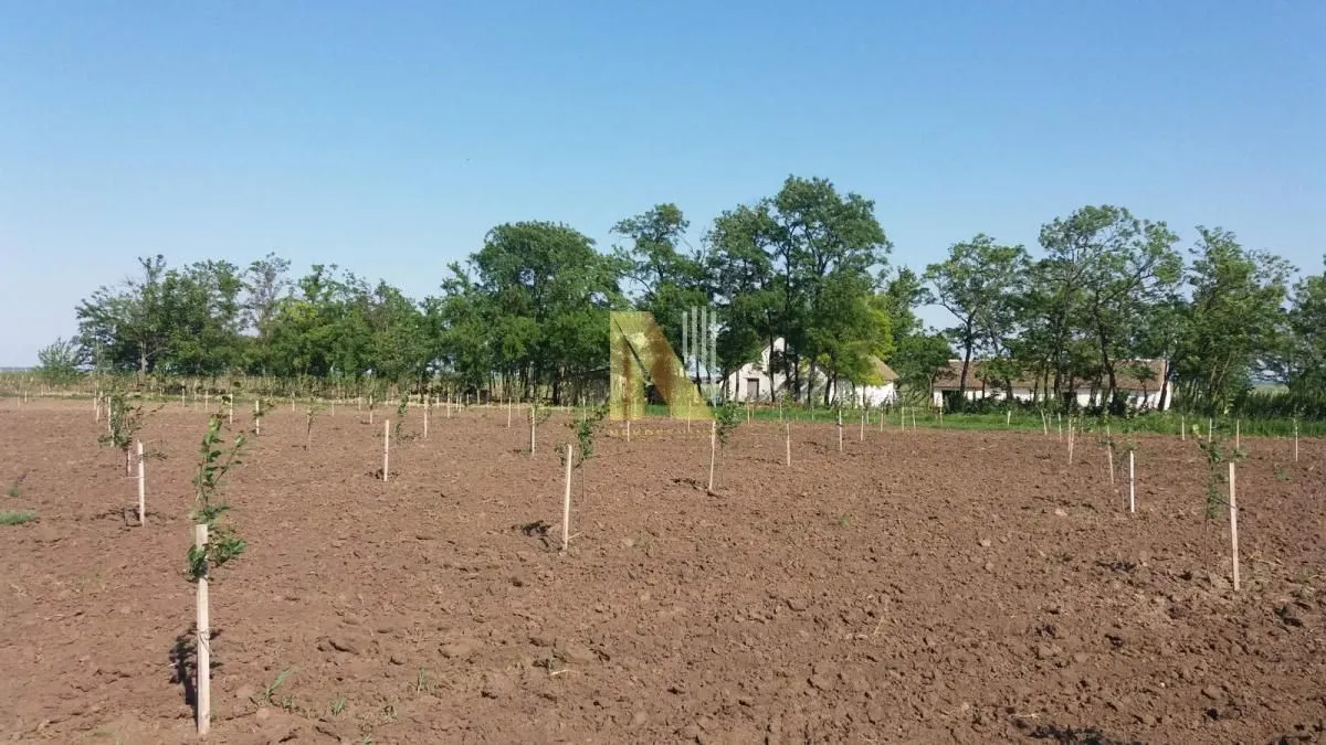 Prodaja, plac, 74000m², Žabalj, Srbija