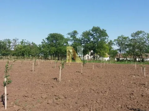 Prodaja, plac, 74000m², Žabalj, Srbija - image 10