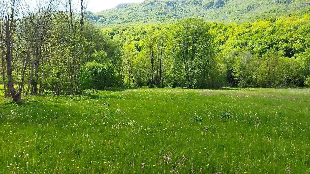 Sale, land lot, 10000m², Kolašin, Crna Gora