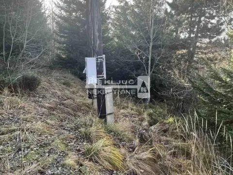 Prodaja, plac, 324m², Kopaonik, Srbija - image 7