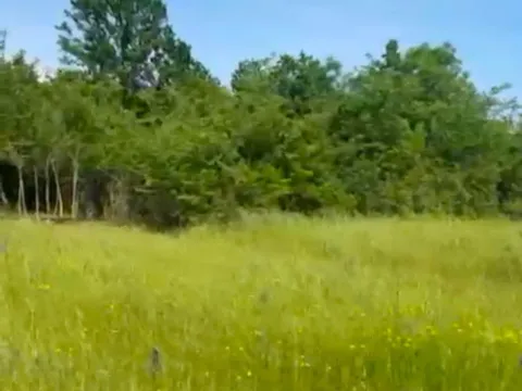 Prodaja, plac, 5554m², Jastreb, Danilovgrad - image 5