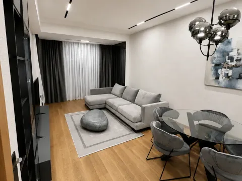 Rent, one bedroom apartment, 59m², Kod Capital Plaze, Podgorica - image 1