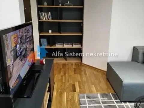 Izdavanje, stan, 46m², Višnjička Banja, Palilula Sve Podlokacije - image 3