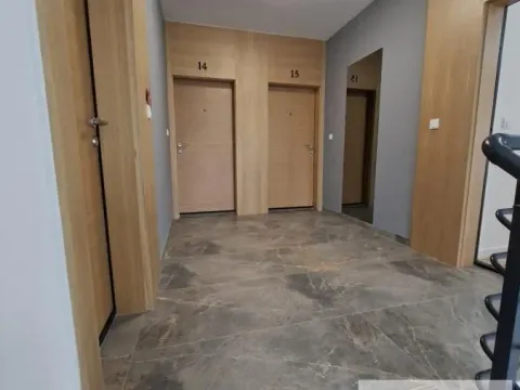 Prodaja, dvosoban stan, 55m², Altina, Beograd - image 8